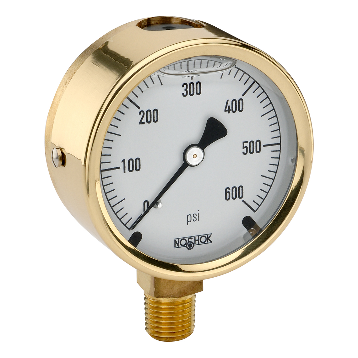 NOSHOK 25-300-5000-psi/bar