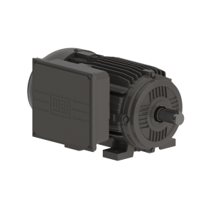 WEG 00152ES1E182T