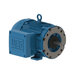 WEG 00118XT3E143TC