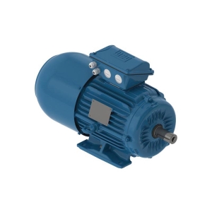 WEG 02518ET3EBM284T-W22